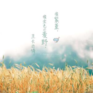 一本一道无码中文字幕精品热
