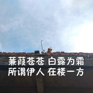 一本一道无码中文字幕精品热
